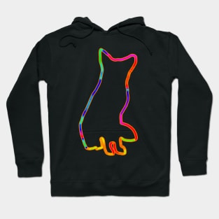 Neon fox Hoodie